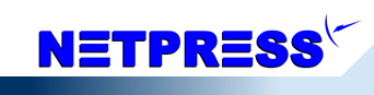 Netpress Logo